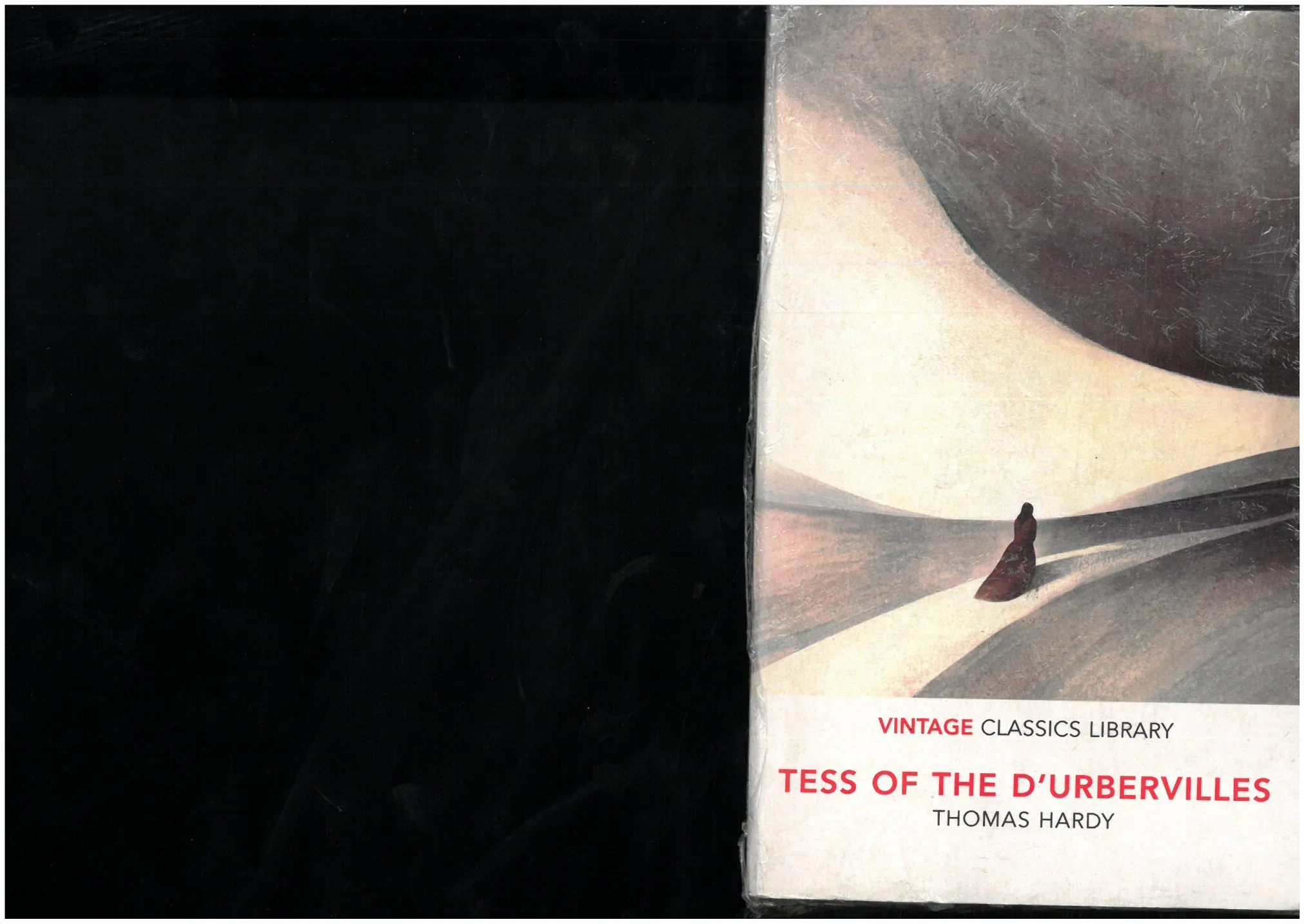 TESS OF THE D'URBERVILLES THOMAS HARDY VINTAGE CLASSICS