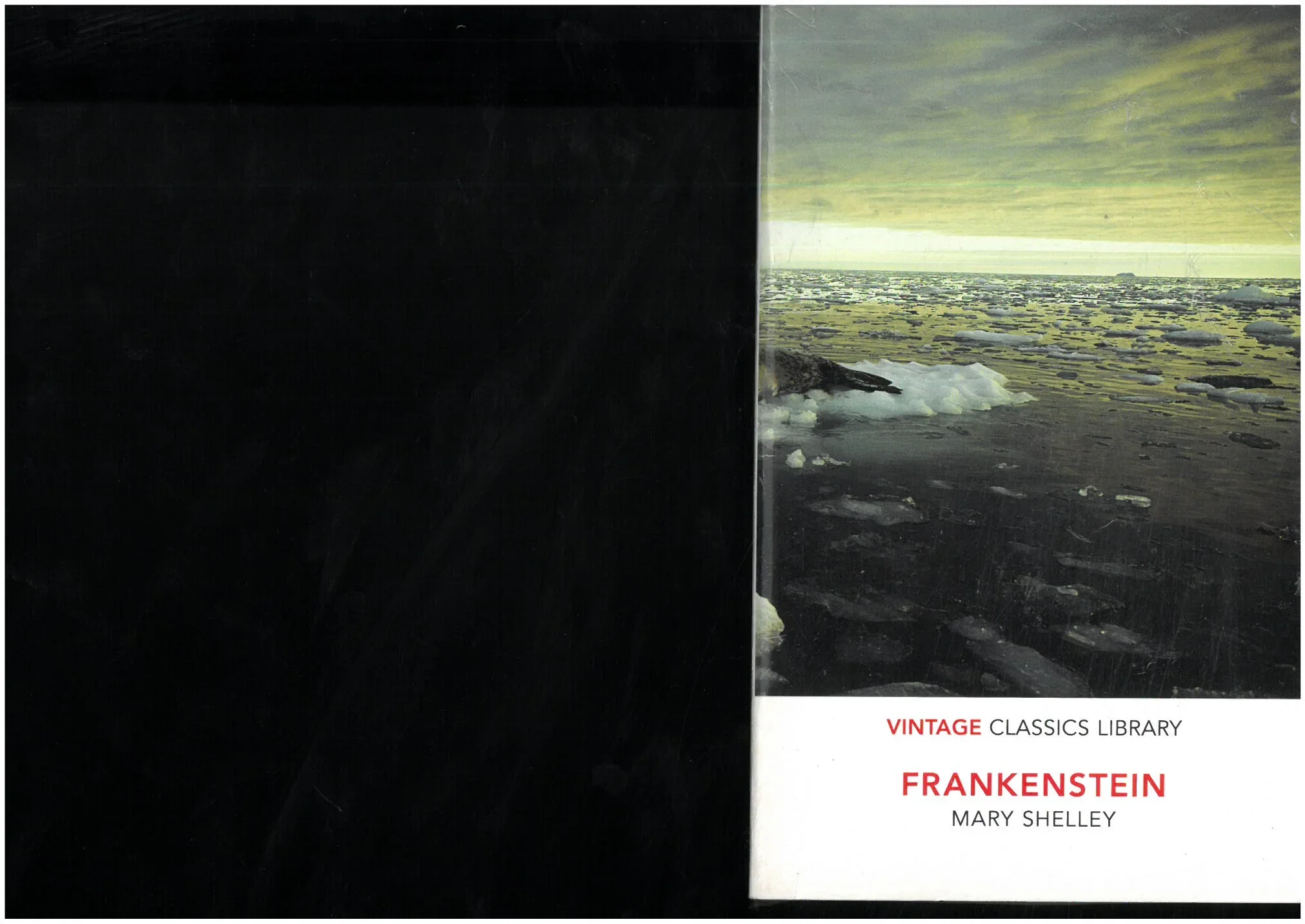 Frankenstein - MARY SHELLEY - Vintage classics library