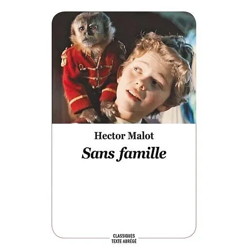 Sans Famille ( Classiques Texte Abrégé )