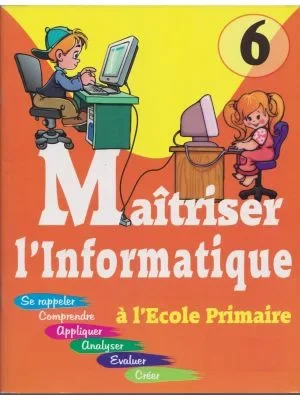 Maîtriser l'informatique N6+CD