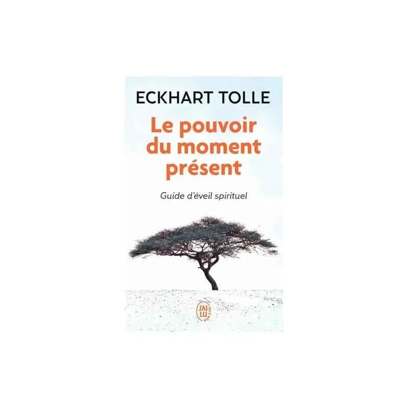 LE POUVOIR DU MOMENT PRÉSENT